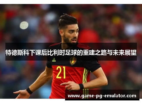特德斯科下课后比利时足球的重建之路与未来展望 特德斯科下课后比利时足球的重建之路与未来展望