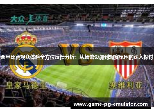西甲比赛观众体验全方位反馈分析：从场馆设施到观赛氛围的深入探讨