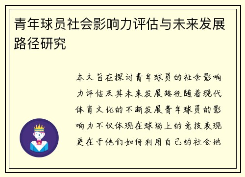 青年球员社会影响力评估与未来发展路径研究